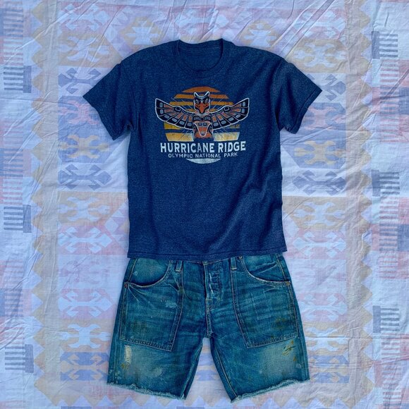 Vintage official Olympic National Park Hurricane Ridge crop tee - Picture 1 of 5